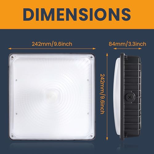 LED Canopy Light 100W
