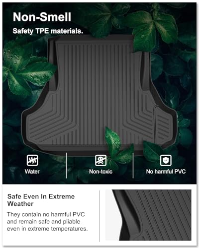 Cargo Mat for 2011