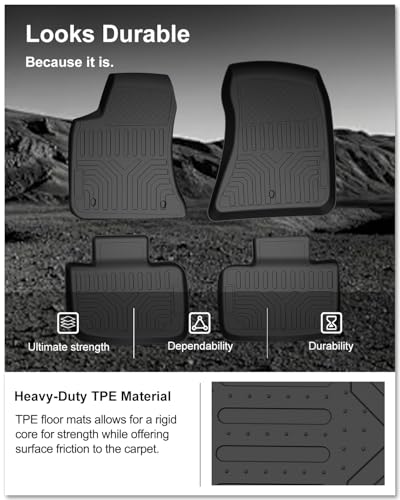 Floor Mats for 2011