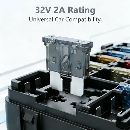 80Pcs) 2 Amp Standard Fuse, 2A Car Blade Fuses for Car/RV/Truck/SUV/Motorcycle/Boat (80 Count)