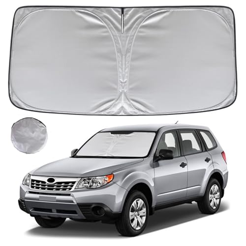 Windshield Sun Shade for 2009