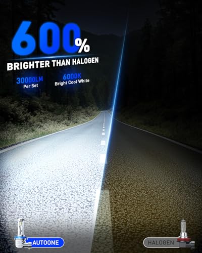 H11 LED Bulbs (2 Count)