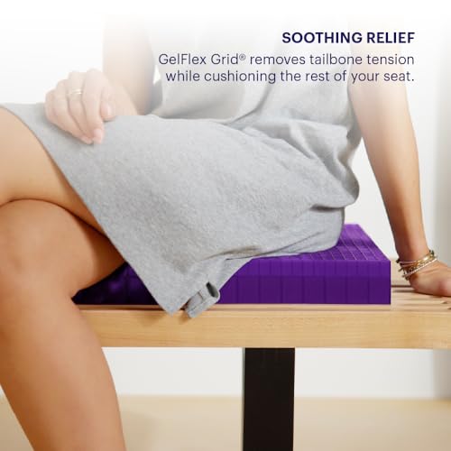 Double Seat Cushion