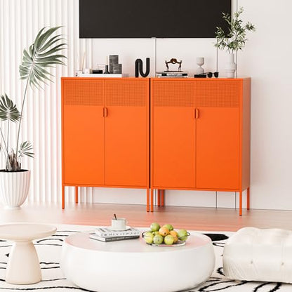 2 Mesh Door Metal Cabinet with Adjustable Shelves