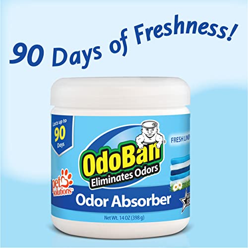 Solid Odor Absorber Eliminator for Home and Small Spaces (42 Ounce)