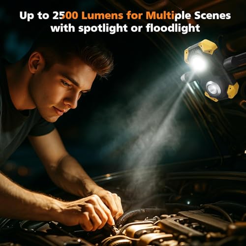 2 Pack 2500LM 3 (2 Count)