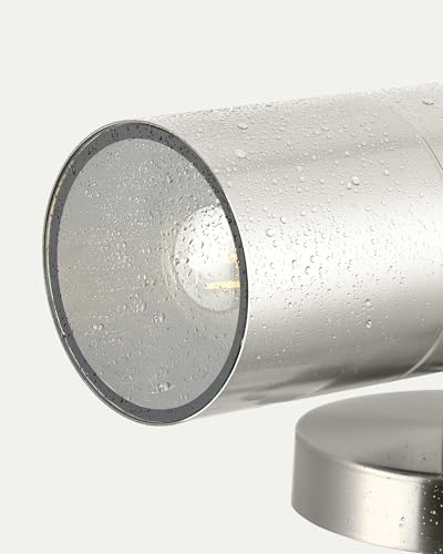Stainless Steel Outdoor Wall Light (2 Count)