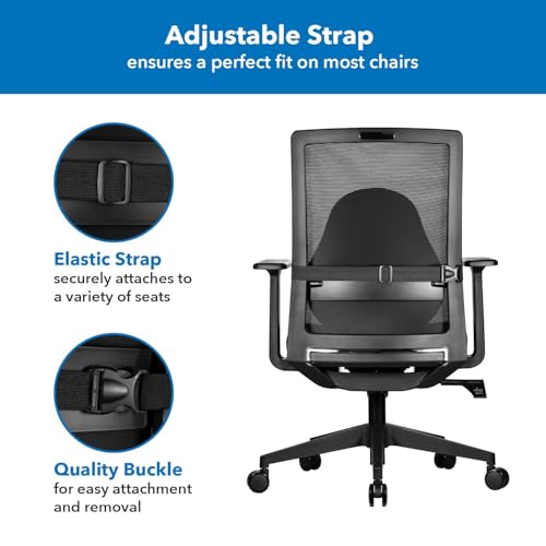 Office Chair Cushion