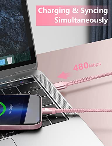 iPhone Charger Cable 3FT 2Pack USB to Lightning Cable Extra Durable Braided (6 Foot)