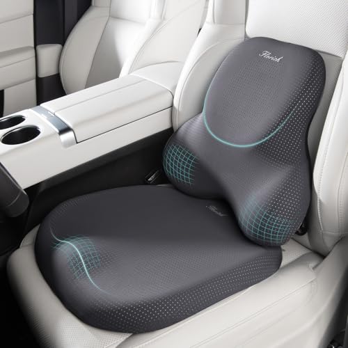Car Seat Cushion and Lumbar Support Pillow for Office Chair Car