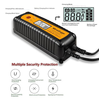 Smart Battery Charger