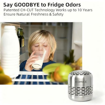 Refrigerator Deodorizer