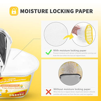 Moisture Absorber (6 Count)