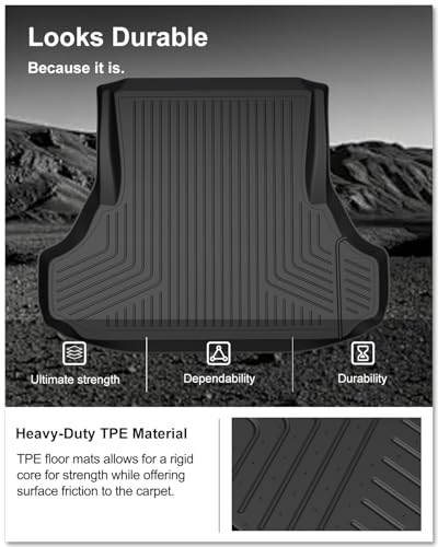 Cargo Mat for 2011