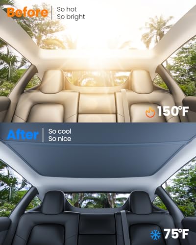 Tesla Model S (14 Count)