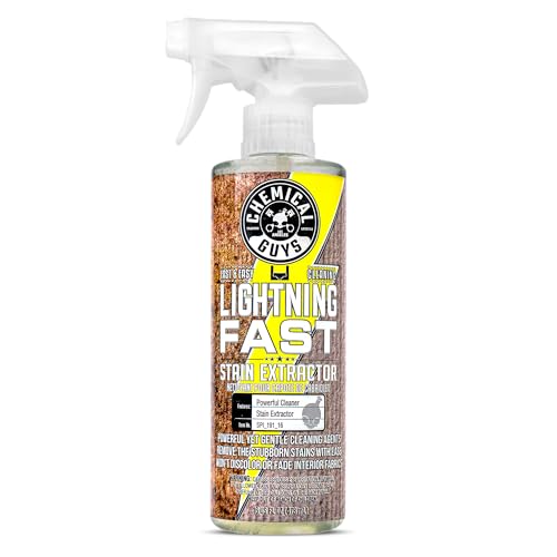 Lightning Fast Carpet & Upholstery Stain Extractor (16 Fl Oz)