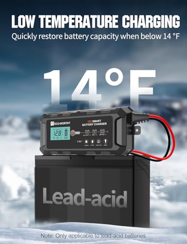 12V 10A Battery Charger for Lead