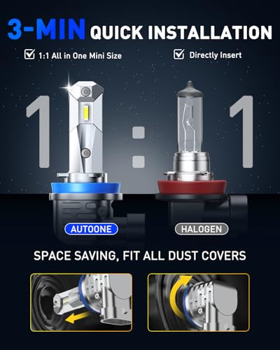 H11 LED Bulbs (2 Count)