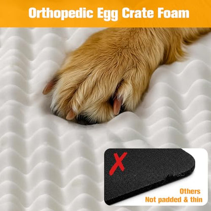 Convertible Backseat Extender for Dogs