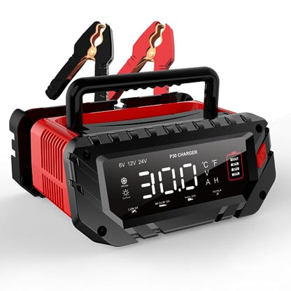 30 Amp Lithium Battery Charger