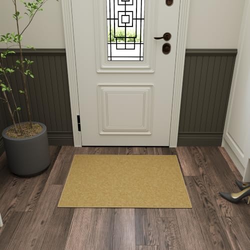 2x3 Entryway Rug