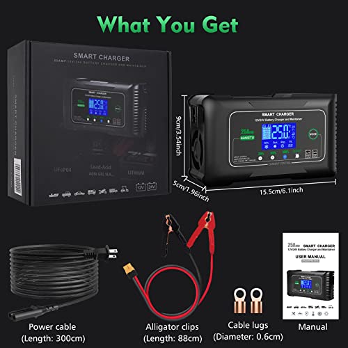 25 Amp Lithium Battery Charger