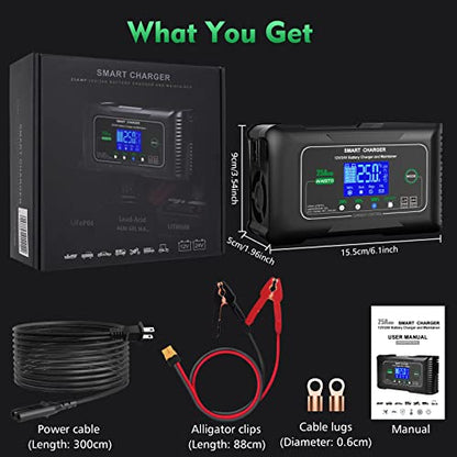 25 Amp Lithium Battery Charger
