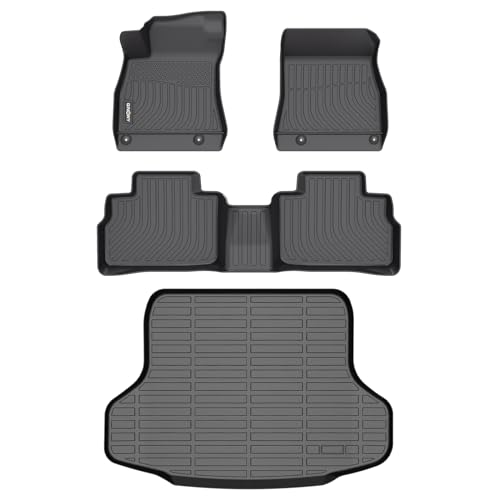 Floor Mats & Cargo Liner for 2020