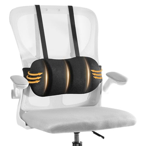 Lumbar Support Pillow for Office Chair & Car