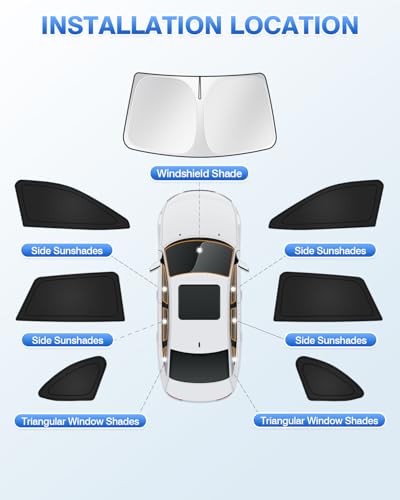 Sunshades for 2020 (7 Count)