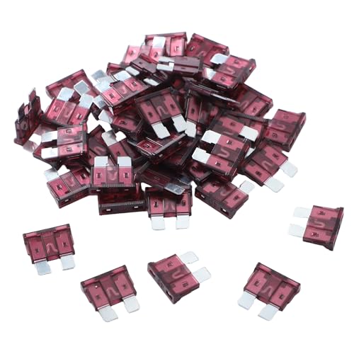 100 Pack Auto Fuses 40 AMP ATC