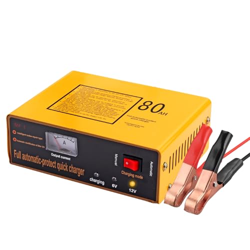 6V 5A and12V 8.5A Car Battery Charger