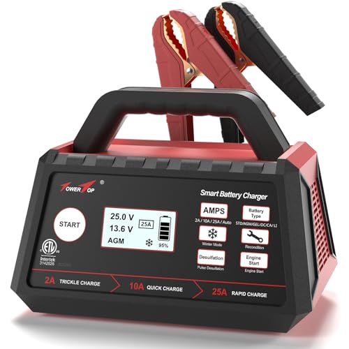 2/10/25 Amp 12V Smart Car Battery Charger, Fully Automatic Battery Maintainer with Engine Start, Auto Desulfator, Battery Repair, Winter Mode, for AGM, STD, Gel, Deep Cycle Batteries