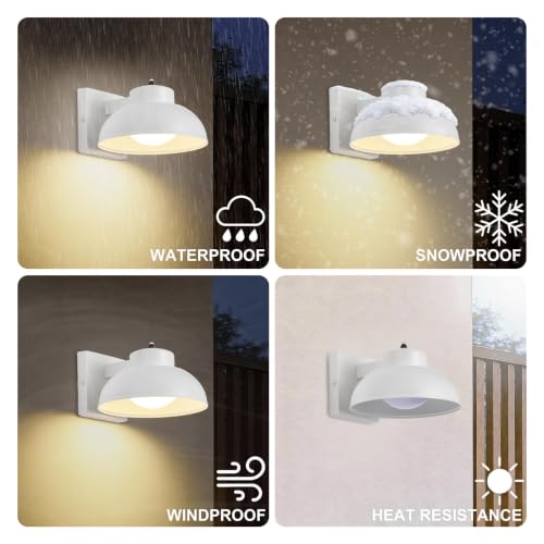 LED Outdoor Wall Lights (2 Count)