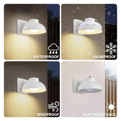 LED Outdoor Wall Lights (2 Count)