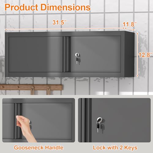 Metal Wall Cabinet with Lock and Doors
