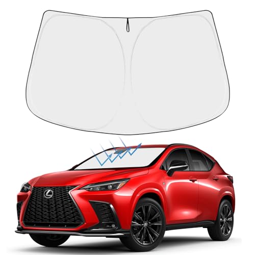 Custom Fit 2022