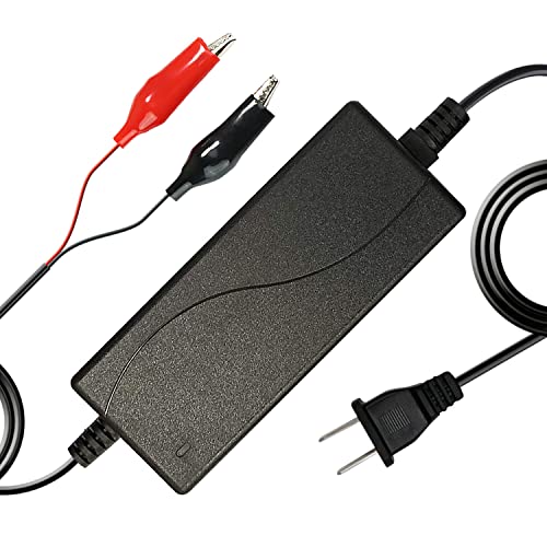 12V 2A Smart Charger for Lithium LiFePO4 Deep Cycle Rechargeable Batteries [UL Listed]
