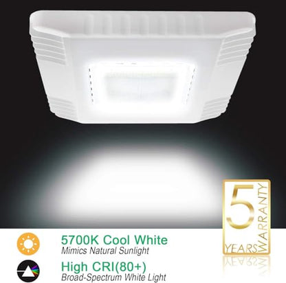 150W LED Gas Station Canopy Light 5700K Garage Carport Light Fixture