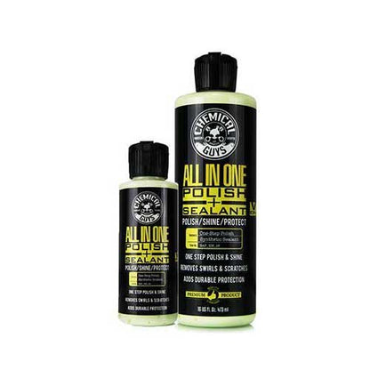 All-in-One Polish, Shine & Paint Sealant, One Step, 16 oz (15.994 Fl Oz)