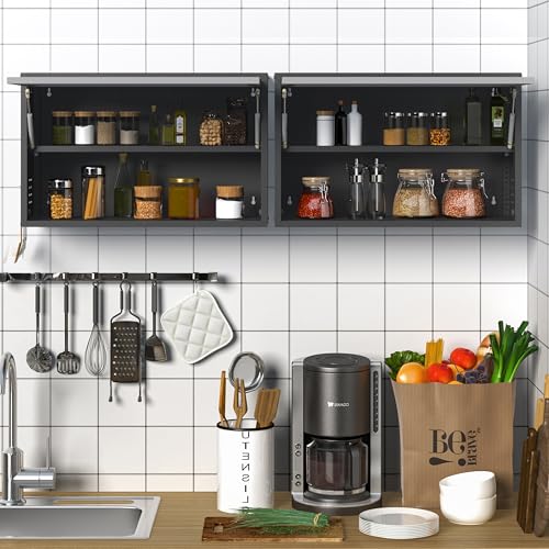 Metal Wall Cabinet with Adjustable Shelves