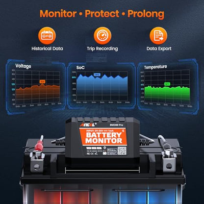 BM300 Pro Battery Monitor