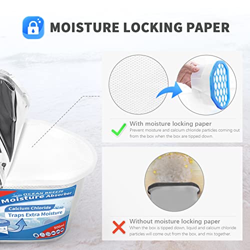 Moisture Absorber (6 Count)
