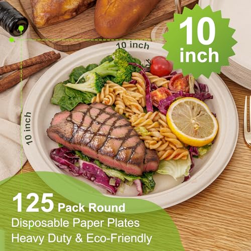 Paper Plates 10 Inch 125 (125 Count)