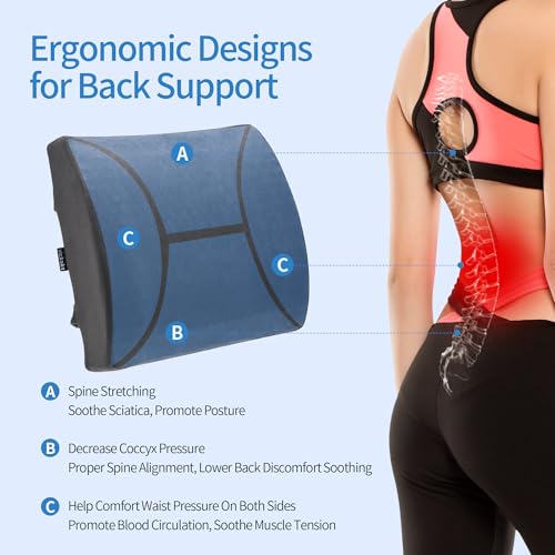 Lumbar Support Pillow for Office Chair