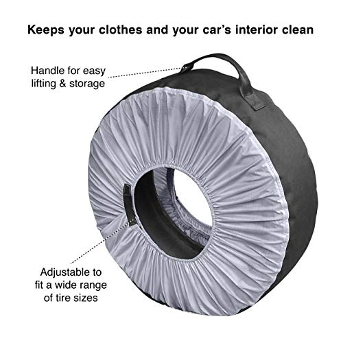 Seasonal Tire Tote