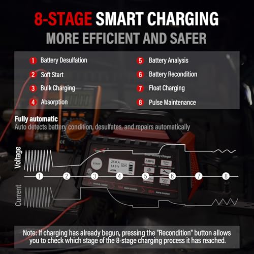 2/10/25 Amp 12V Smart Car Battery Charger, Fully Automatic Battery Maintainer with Engine Start, Auto Desulfator, Battery Repair, Winter Mode, for AGM, STD, Gel, Deep Cycle Batteries