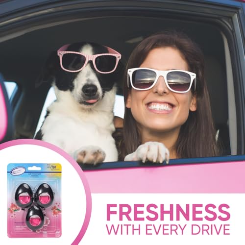 Car Air Freshener Vent Clip 3 Ct (3 Count)