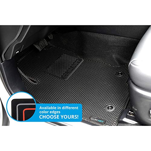 All Weather Car Floor Mats Compatible with Lexus NX 2015