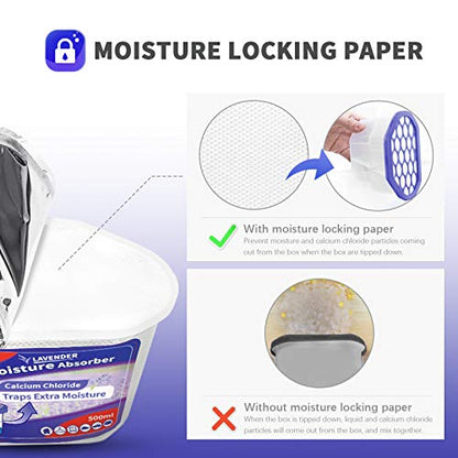 Moisture Absorber (6 Count)